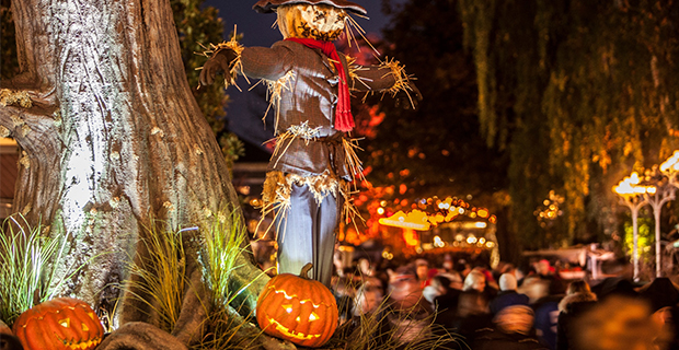 Halloween på Liseberg med   90 ton pumpor och Spindelburgare i restaurangerna