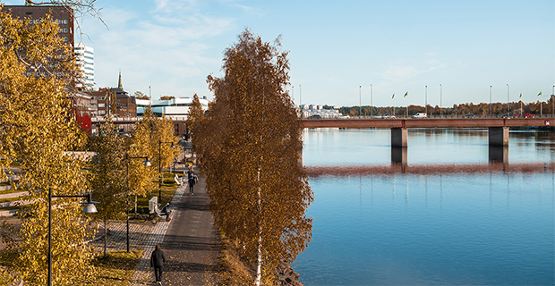 I "björkarnas stad" Umeå har antalet gästnätter ökat.