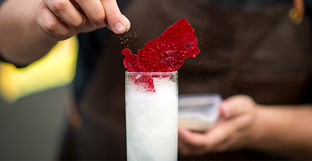 Här är årets finalister i Sveriges Bästa Gin & Tonic