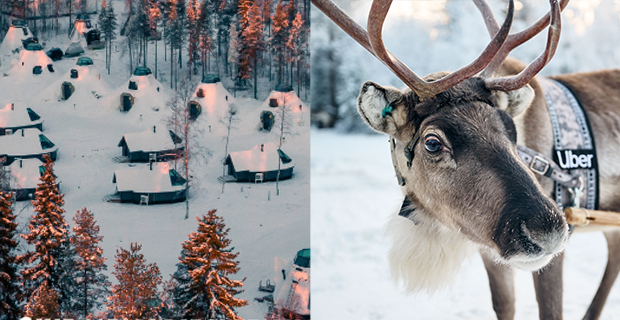 Slädturen med renar kommer avgå från Apukka Resort i Rovaniemi.