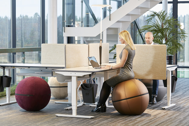 Office Ballz