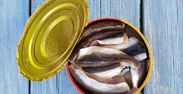 Surströmming produceras längs hela norrlandskusten i ett tätt samarbete med småskaligt kustnära fiske. Kraven på råvaran är mycket specifika.