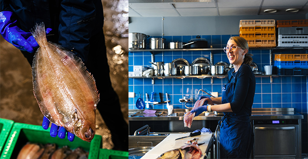 Sjömatsfrämjandet och Restaurangakademien startar en omfattande utbildning för sjömatens framtid.